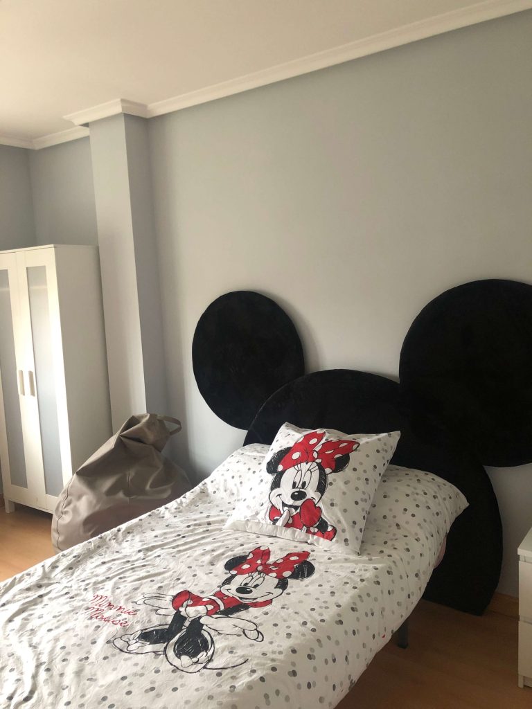 Pintores en Medina del Campo - IMG 4242