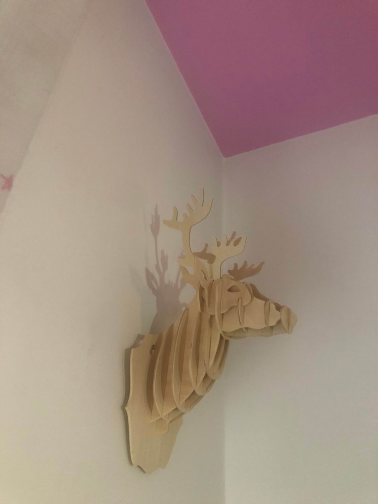 Pintores en Medina del Campo - IMG 5155