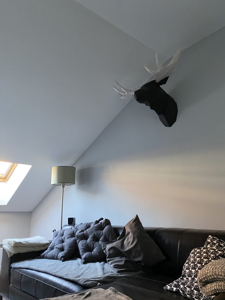 Pintores en Medina del Campo - Cabeza de ciervo