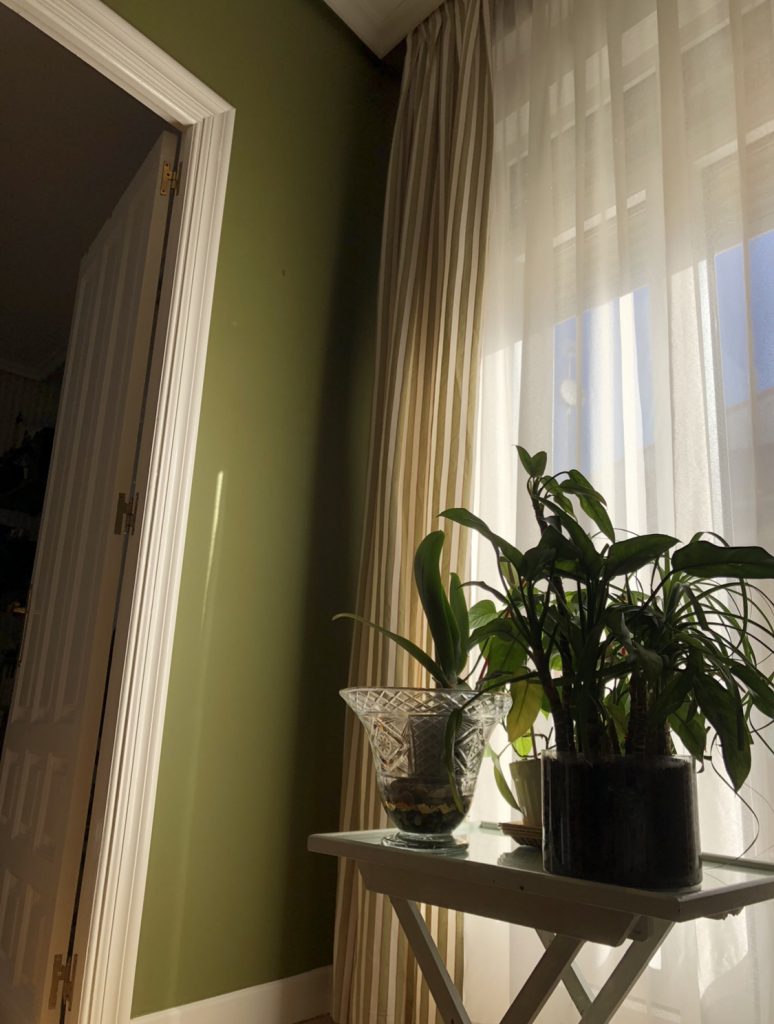 Pintores en Medina del Campo - Verde oliva