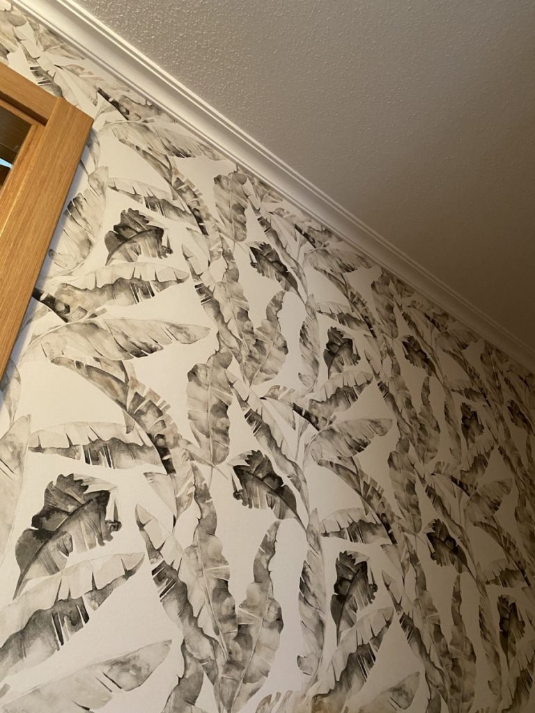 Papel Pintado en Medina del Campo - IMG 0393Papel pintado para casas 4